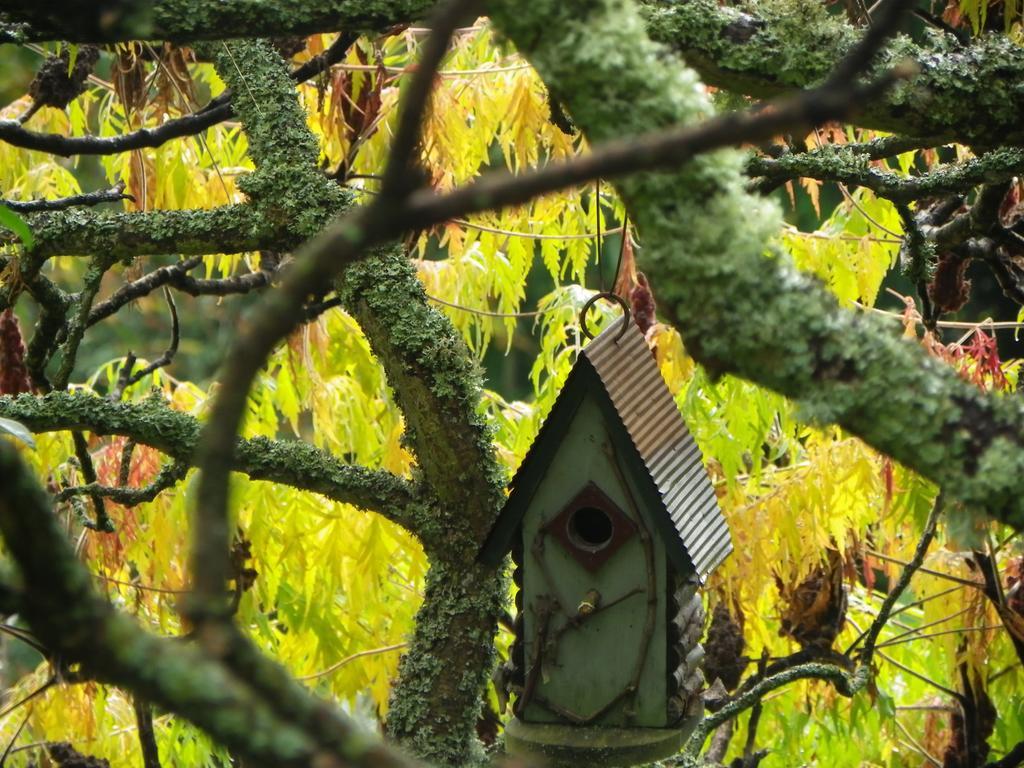 Maison d'Hôtes de la Verrière Les Ardillats Exterior foto